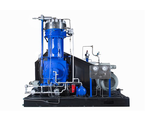 ZXGL diaphragm compressor